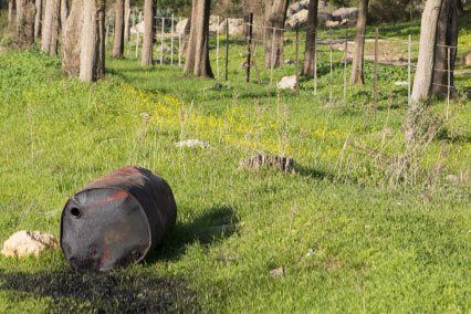 Licensed Environmental Professional Services (CT only)